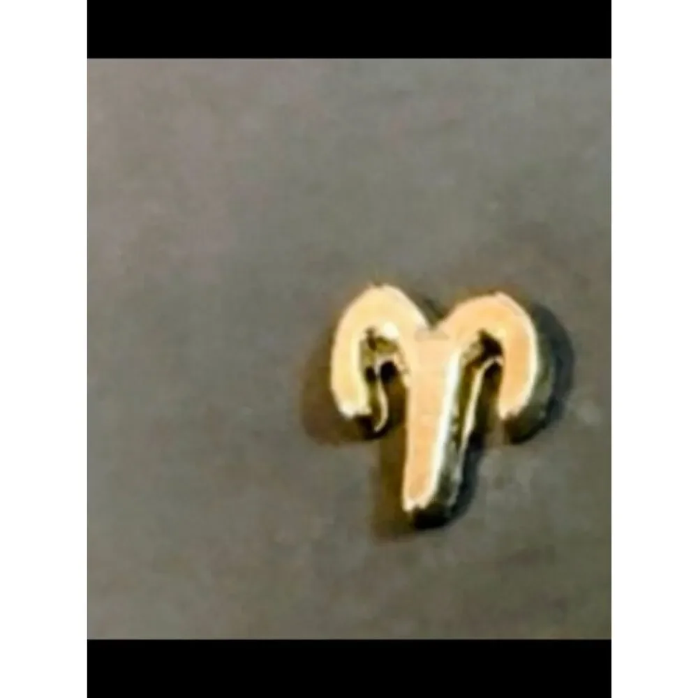 Aries ♈️ Zodiac Charm For Floating Lockets